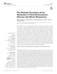 We did not find results for: Pdf The Multiple Functions Of The Nucleolus In Plant Development Disease And Stress Responses