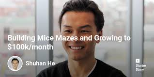 Building Mice Mazes and Growing to $100k/month
