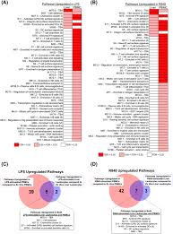 Amazon logistics tracking numbers begin with tba, tbm, and tbc for packages shipping in the united states, canada, and mexico. A Subset Of Liver Resident Natural Killer Cells Is Expanded In Hepatitis C Infected Patients With Better Liver Function Scientific Reports