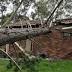 Melbourne weather: More wild, windy conditions on the way for ...