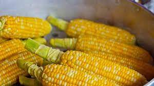 Makanan empat sehat lima sempurna ini meliputi makanan pokok seperti nasi (kalori), lauk pauk (protein), sayuran dan buah (vitamin. 6 Jenis Makanan Pokok Indonesia Dan Kandungannya Tribun Bali