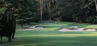 Kasumigaseki country club the new national stadium, a venue designed for the opening and closing ceremonies for the tokyo 2020 olympics, is seen prominently in the tokyo cityscape seen from an observation tower. East Course At Kasumigaseki Country Club All Square Golf