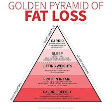 Pin On Belly Fats Burning