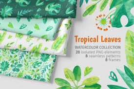 Black and white border flowers clipart. Tropical Leaves Watercolor Set Clipart Patterns Frames In Illustrations On Yellow Images Creative Store