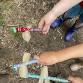 Mini Explorers on Ashdown Forest event image