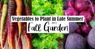 Most cold weather vegetable varieties will grow in south carolina. 9 Best Vegetables For Your Fall Garden Lonely Pines Farm