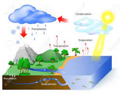 En el ciclo del agua ocurre cuando la radiación solar calienta los cuerpos de agua exteriores y evapora la superficie de los mismos creando vapor de agua o agua en estado gaseoso. Diagrama Del Ciclo Del Agua El Sol Que Impulsa El Ciclo Del Agua Calienta El Agua En Los Oceanos Y Mares El Agua Se Evapora Como Vapor De Agua En El Aire
