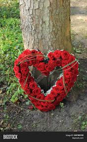 We did not find results for: Heart Shaped Sympathy Image Photo Free Trial Bigstock