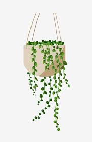 Green Hanging Plant White Flower Pot Small Green Leaves Cartoon Lover Tear Pot Png And Psd Plant Art Painting Art Projects Plant Drawing