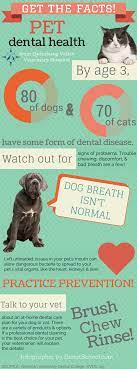 Pet Dental Health Month 3 Fast Facts Pet Dental Health Pet Dental Health Month Dental Health Month