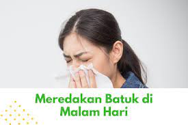 Kucing batuk seperti tersedak maupun batuk biasa tetap membuat cat lover sedih apalagi kalau sampai terkena hairball wah bakalan tambah sedih pastinya. Cara Menghentikan Batuk Di Malam Hari Begini Caranya