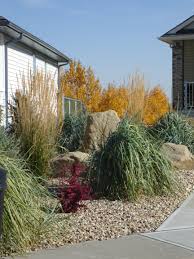 It's an efficient way to landscape with native plants that require minimal water. Xeriscaping The Town Of Okotoks