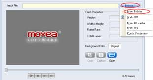 Convert Flash To Mp4 Video For Free Meet The Robinson Robinson Converter