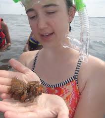 Biology Student is Headed Out to Sea