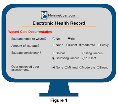 4 Ways To Organize Nursing Data In The Patient Chart