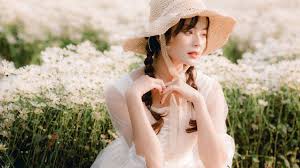 The Genetic Symphony of Sex-Harmony in Every Strand of DNA