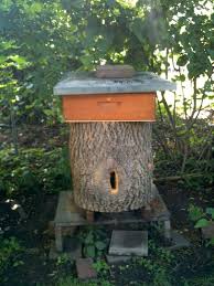 Klotzbeute Und Dadant Ein Interessantes Paar Stadtimker Bienenzucht Im Garten Imkerei Bienen