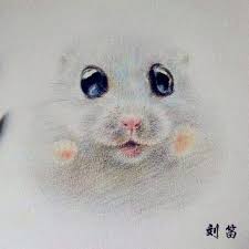 Kumpulan gambar hewan di muka bumi. Pin Na Doske Mouse Myshi Homyaki