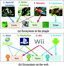 Food chains in the amazon: Illustration Of Jungle Vs Web A Ecosystem In The Jungle E G Amazon Download Scientific Diagram