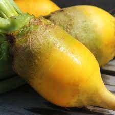 This beetroot is grown mainly for livestock feed, but is. Deaflora Beete Yellow Mangel Samen