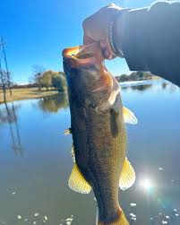 Where can I go Recruit & Fish in that order. But I don't fish I like to go  Catching so that means who's ready to Commit , Sign & get here for