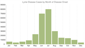 lyme disease stephaniecavin