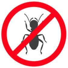 We have over 19 years experience, and have helped read on to learn why we are the preferred choice for pest control in santa barbara county, then pick up the phone and call us for same day help with. Ants Pest Control Santa Barbara
