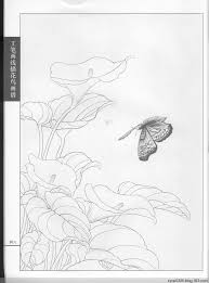 工笔画白描 蝴蝶 水韵清香的日志 网易博客 pencil drawing tutorials drawing tutorial pencil drawings
