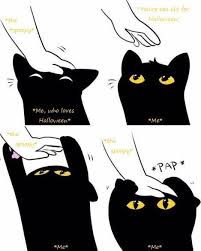 Pap Cat Likes The Spoopy Cat Pap Know Your Meme