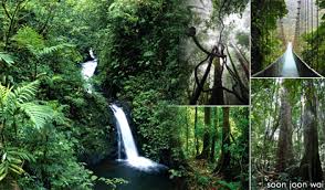 4.4 mengadakan pengawasan, pengendalian penggundulan hutan merupakan sebagai pengerusakan hutan dengan cara menebang pohon yang. Malaysiakini Atasi Krisis Air Dengan Wartakan Hutan Tadahan Air