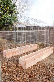 These are the tools if you decide to make the project: 30 Raised Garden Bed Ideas Hative