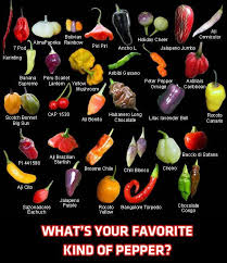 Natural Health Healing God S Way Hot Pepper Benefits Stuffed Hot Peppers Stuffed Peppers Types Of Peppers