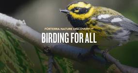 Birding for All