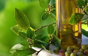 Nettoyage Du Foie Huile D Olive A Jeun