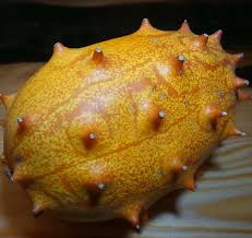 Guess What It Is Quelques Indices C Est Fruit Legume Appele Melon A Cornes Ou Concombre Cornu Texture Gelatineuse Comme Le Fruit De La Passion Ou Perl