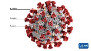 Aug 02, 2021 · research and development. Coronavirus Research Covid 19 Cryo Em Accelerating Microscopy