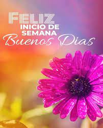 Oración para comenzar y dar inicio de semana con actividades. 100 Ideas De Inicio De Semana En 2021 Saludos De Buenos Dias Se Bueno Frases De Buenos Dias