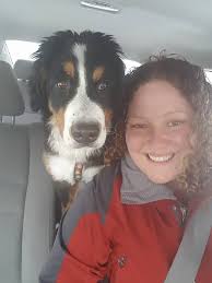 Show everyone your Berner pictures