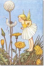 Dandelion Fairy By Ida Rentoul Outhwaite Fairy Paintings Vintage Fairies Fairy Art