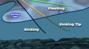 types of fly lines explained tackle