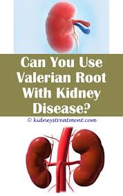 Pin On What Is Kidney Disease
