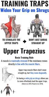 The lower part of your traps are developed by drawing your shoulder blades downward. Traps Workout Training Plan To Build Towering Traps Gymguider Com Traps Workout Trapezius Muscle Upper Traps