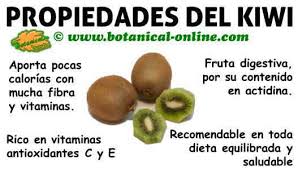 Resultado de imagen de kiwis