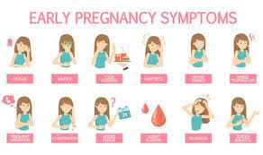 Morning sickness is a common side effect in pregnancy. When Does Morning Sickness Start Express Co Uk