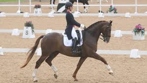 See more ideas about charlotte dujardin, dressage, dressage horses. Winter Dressage Championships Charlotte Dujardin S Rising Stars Unmissable Action And How To Watch Horse Hound
