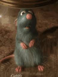 Ratatouille Gifs Tenor
