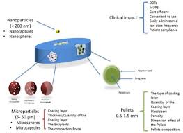 Adriane Becker Contreras
