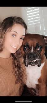 Dog safe in car seat while