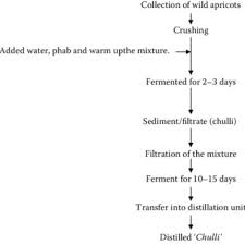 10 Flow Sheet For Production Of Wine From Indian Jackfruit