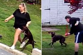 Will hired pet sitters who decided to take more than the dog for a walk.  And it's all caught on camera. Full story MONDAY on Channel 9 and 9Now.  #9ACA